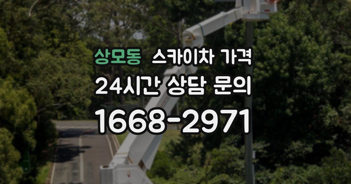 상모동 스카이차 가격