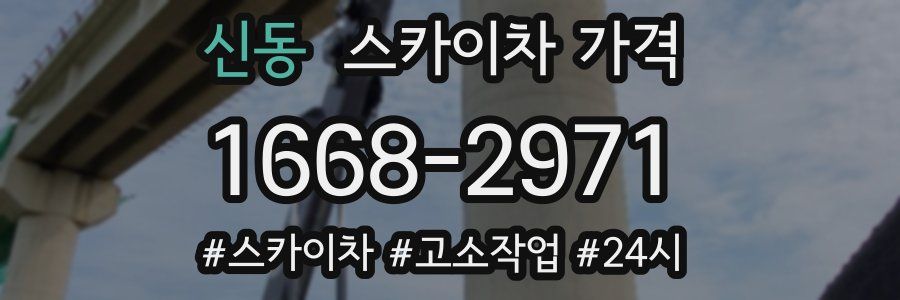 신동 스카이차 가격