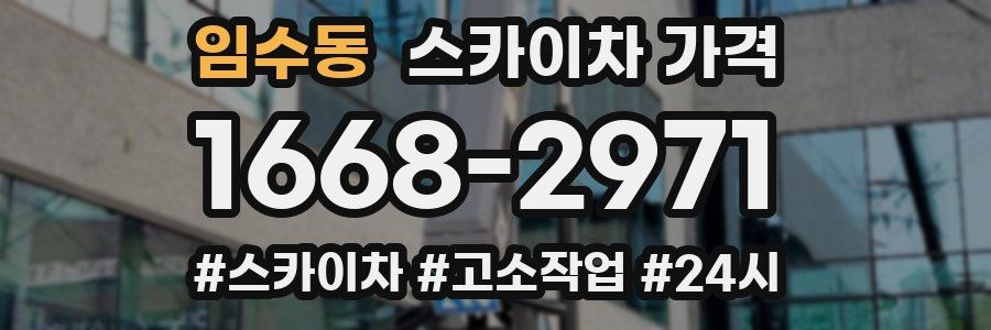 임수동 스카이차 가격