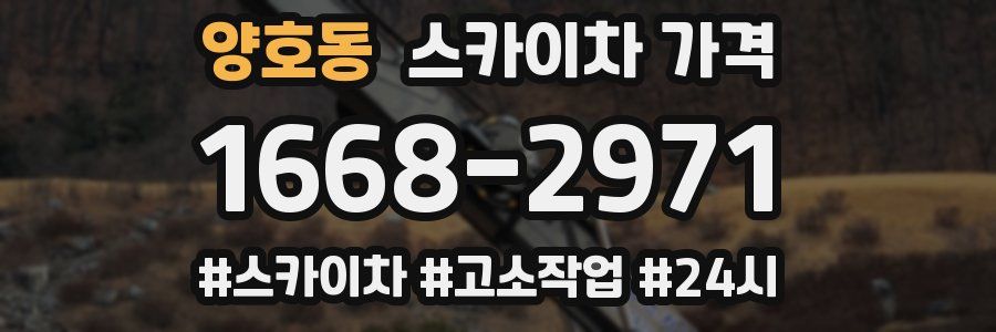 양호동 스카이차 가격