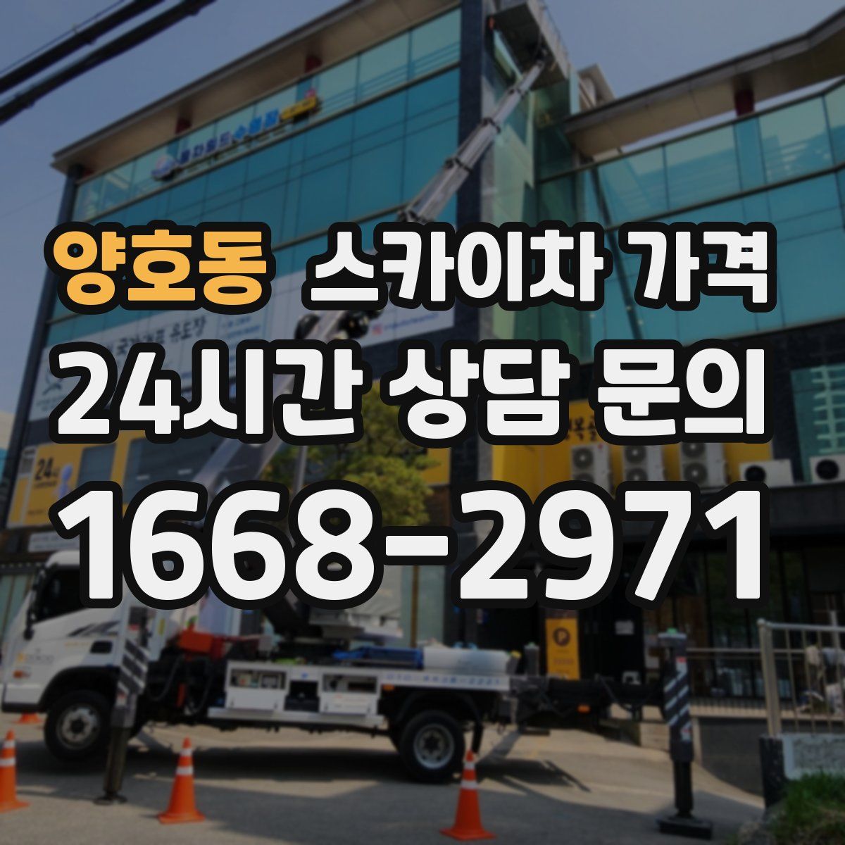 양호동 스카이차 가격