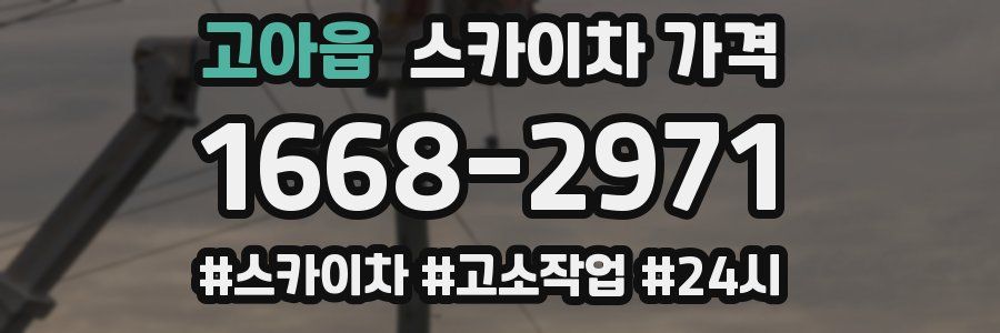 고아읍 스카이차 가격