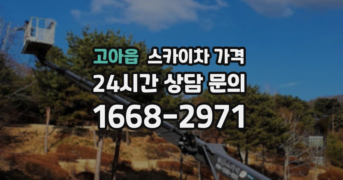 고아읍 스카이차 가격