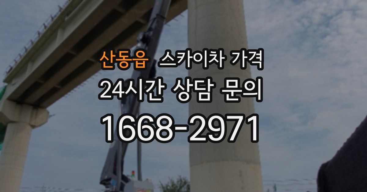 산동읍 스카이차 가격