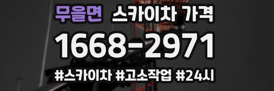 무을면 스카이차 가격