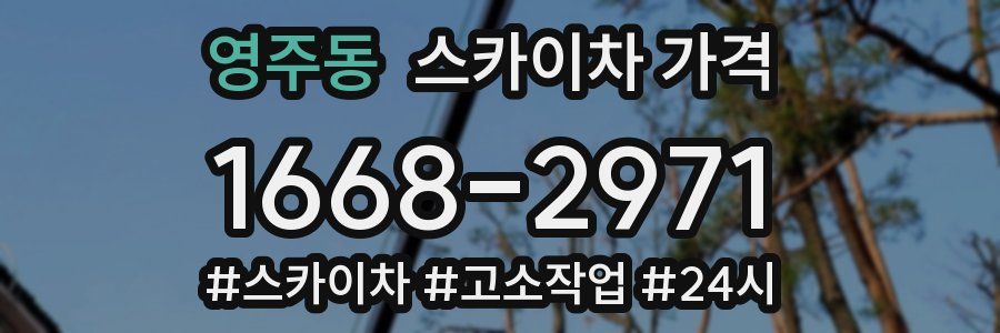 영주동 스카이차 가격