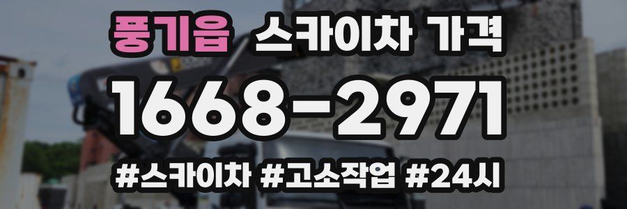 풍기읍 스카이차 가격