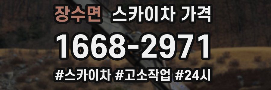 장수면 스카이차 가격