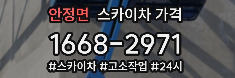 안정면 스카이차 가격