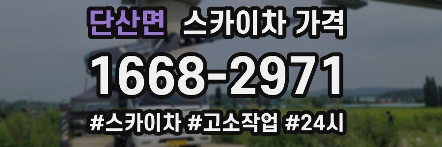 단산면 스카이차 가격