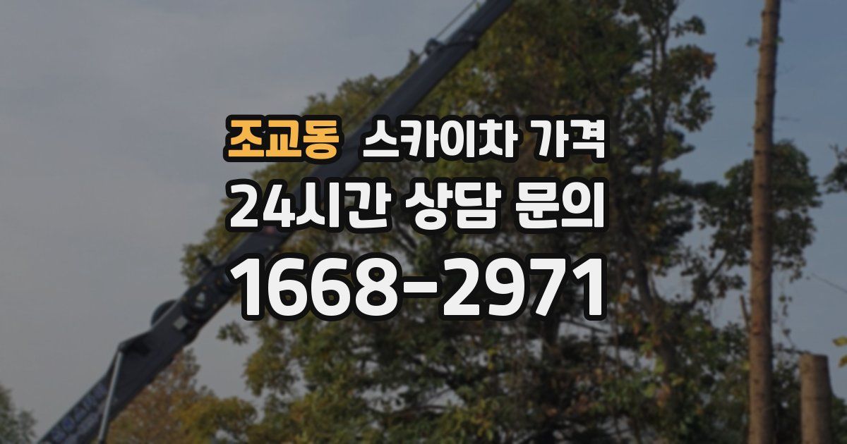 조교동 스카이차 가격