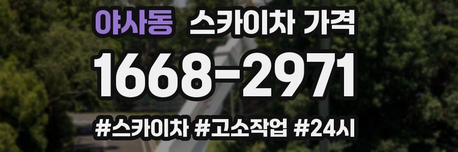 야사동 스카이차 가격