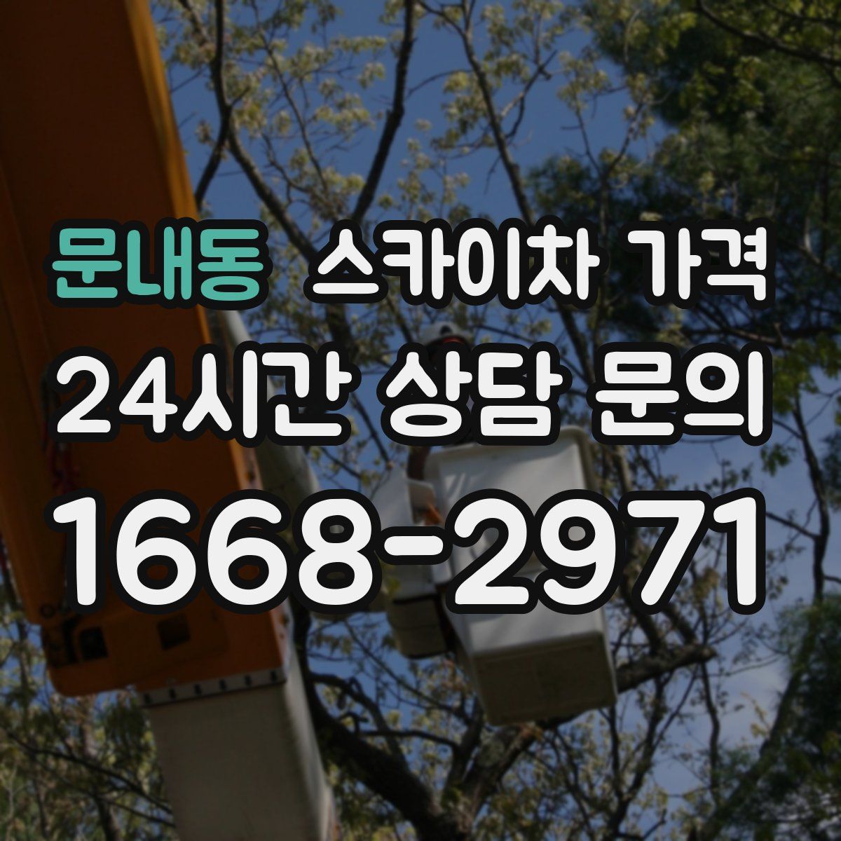 문내동 스카이차 가격