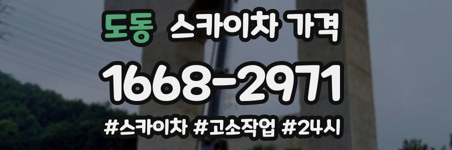 도동 스카이차 가격