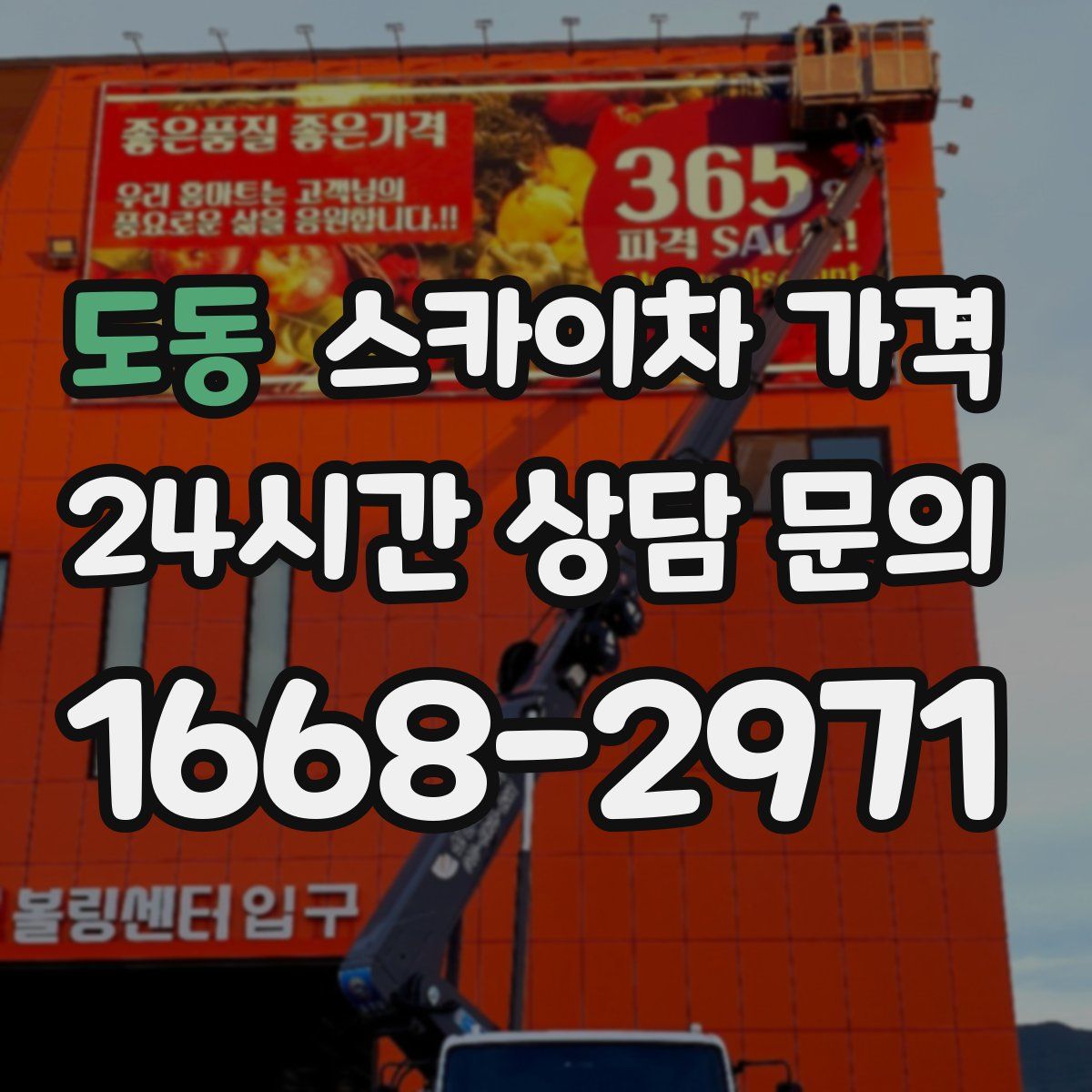 도동 스카이차 가격