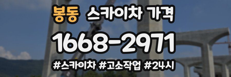 봉동 스카이차 가격