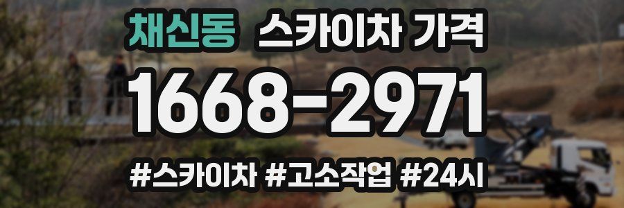 채신동 스카이차 가격