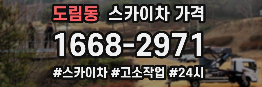 도림동 스카이차 가격