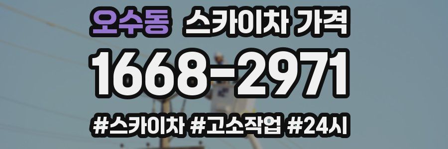 오수동 스카이차 가격