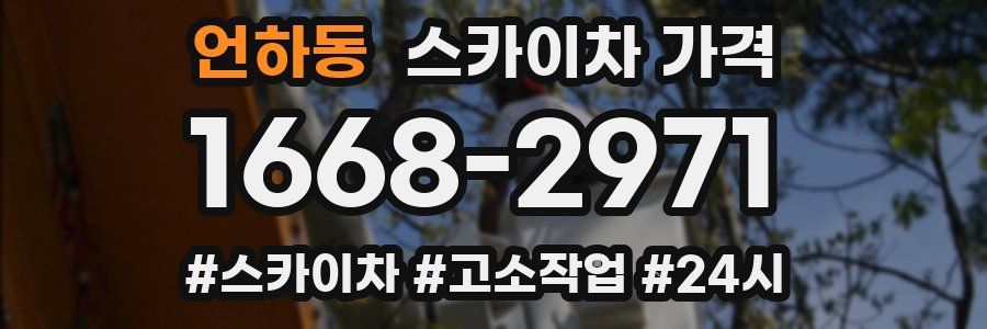 언하동 스카이차 가격