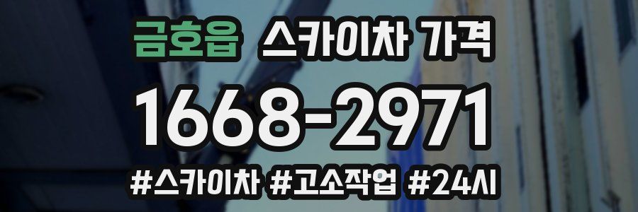 금호읍 스카이차 가격