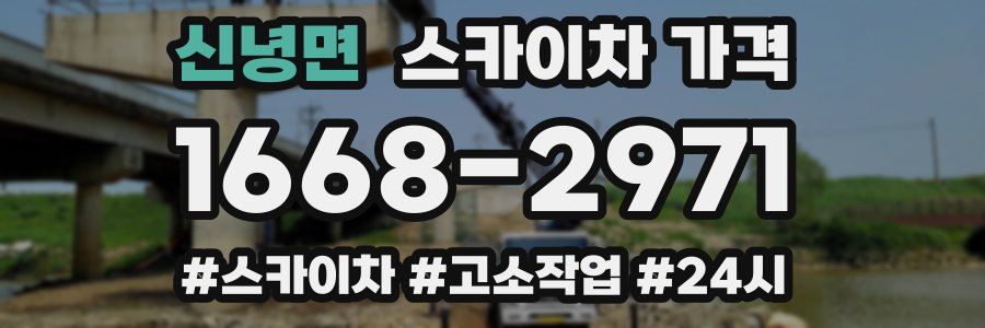 신녕면 스카이차 가격