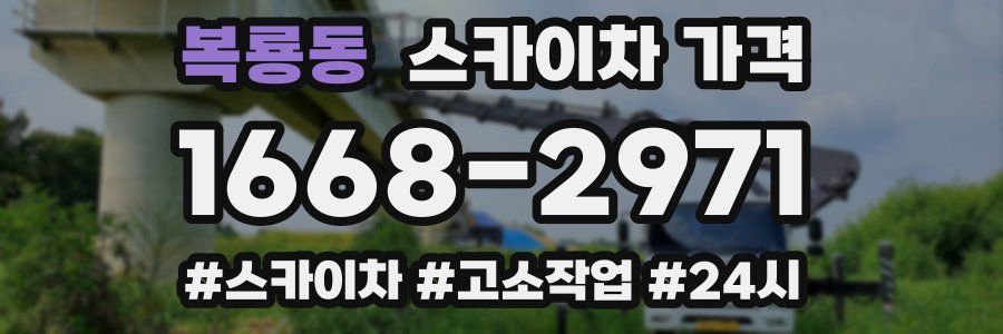 복룡동 스카이차 가격