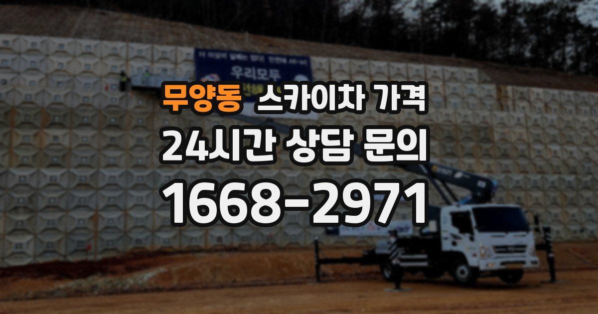 무양동 스카이차 가격