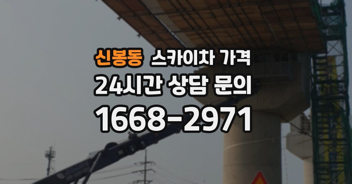 신봉동 스카이차 가격