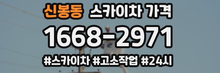 신봉동 스카이차 가격