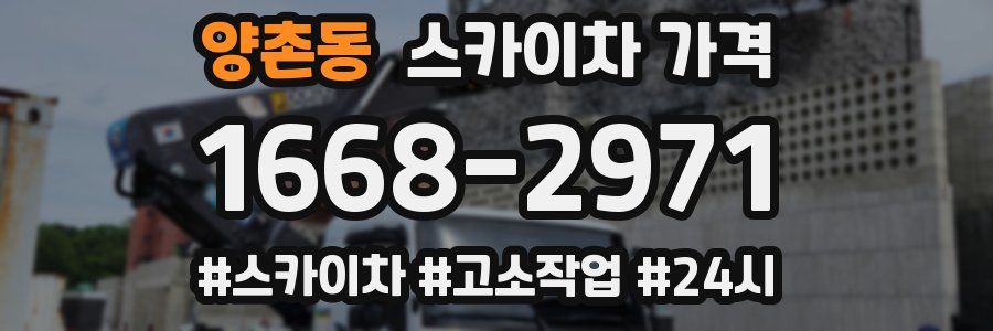 양촌동 스카이차 가격