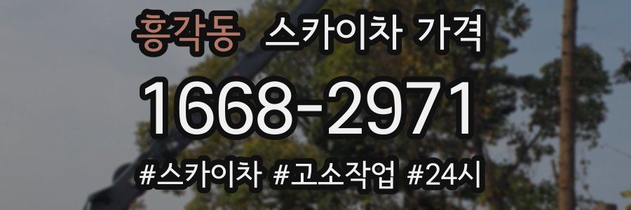 흥각동 스카이차 가격