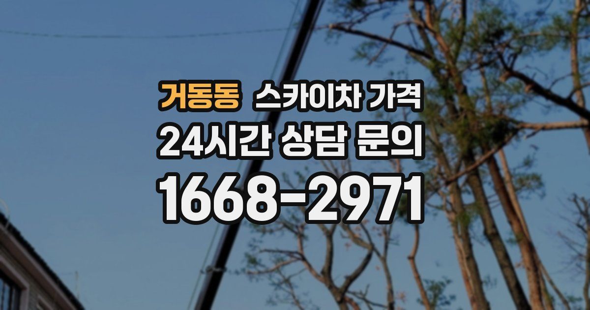 거동동 스카이차 가격