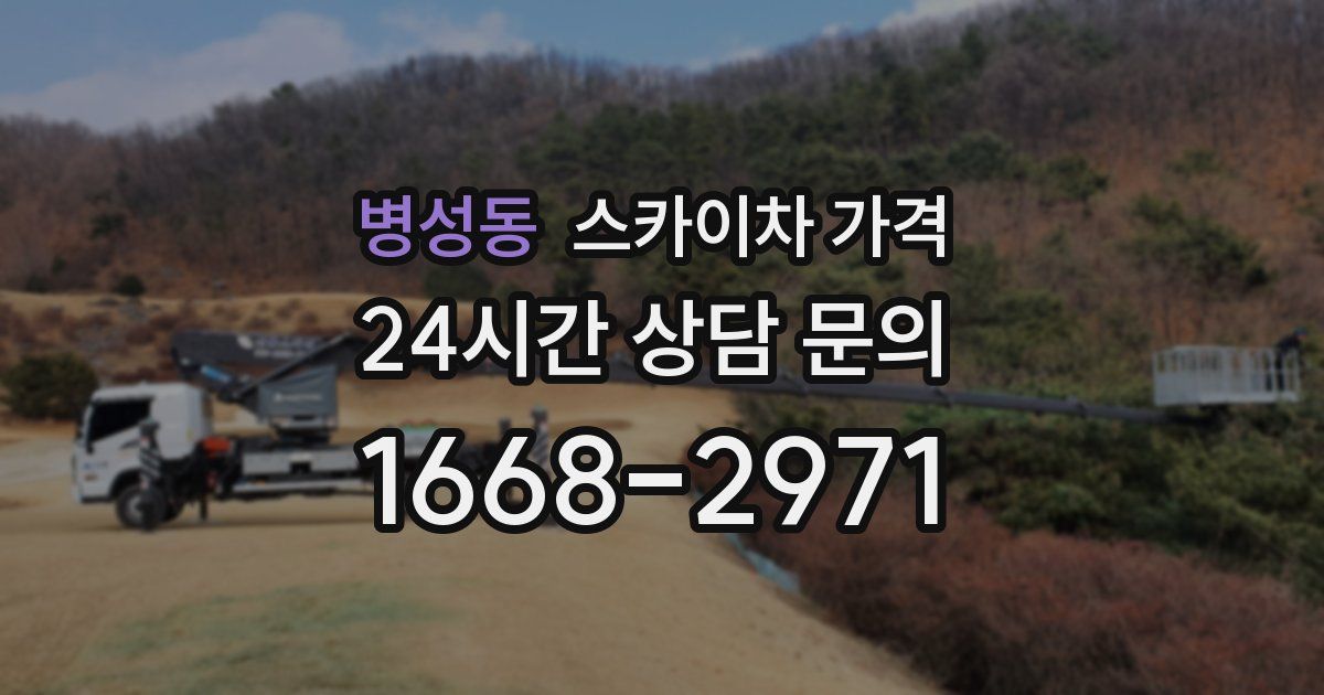 병성동 스카이차 가격