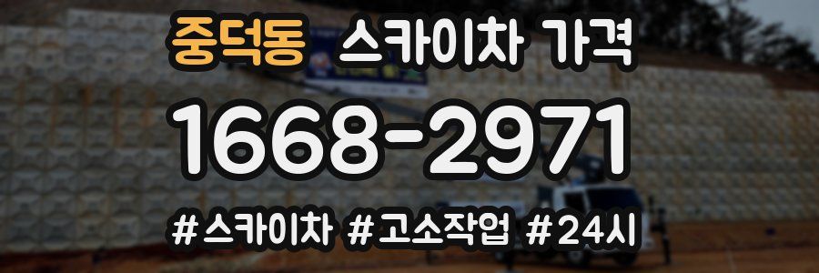 중덕동 스카이차 가격