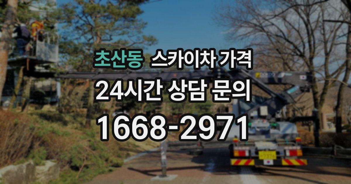 초산동 스카이차 가격