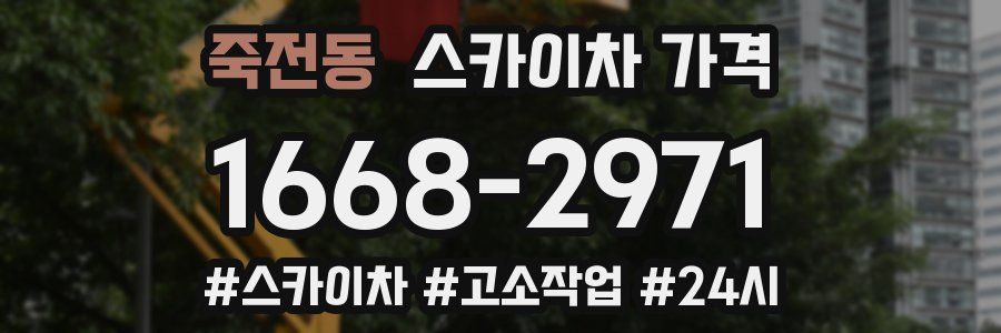 죽전동 스카이차 가격