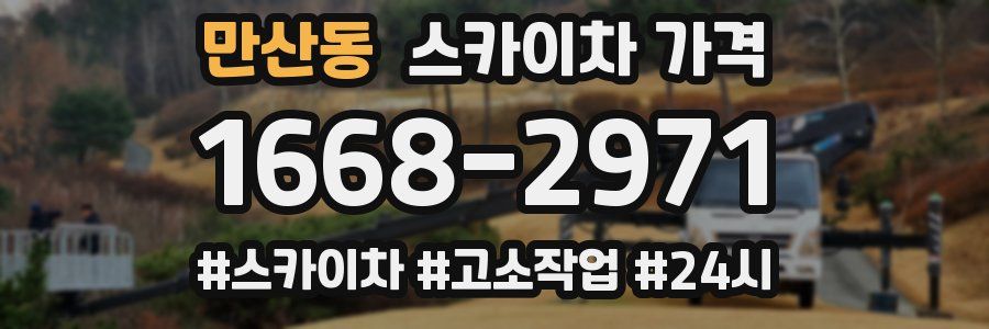 만산동 스카이차 가격
