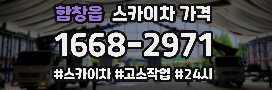 함창읍 스카이차 가격