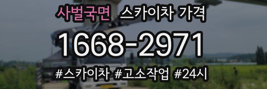 사벌국면 스카이차 가격