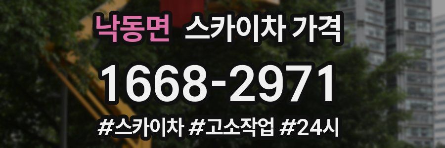 낙동면 스카이차 가격