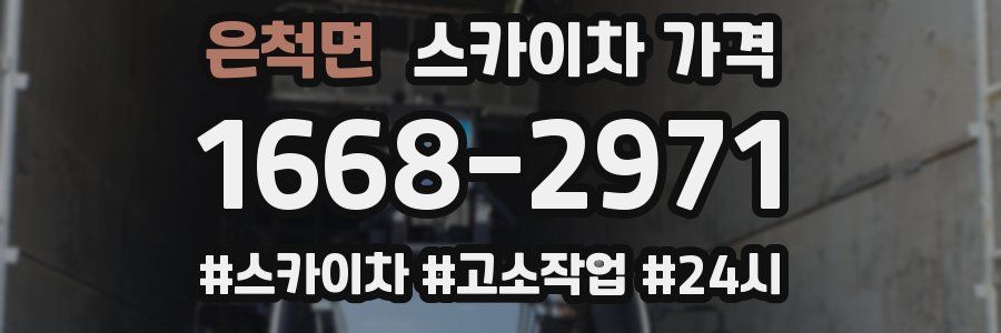 은척면 스카이차 가격