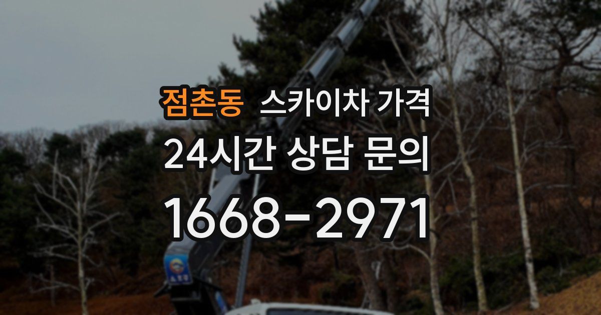 점촌동 스카이차 가격