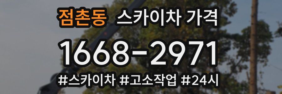 점촌동 스카이차 가격