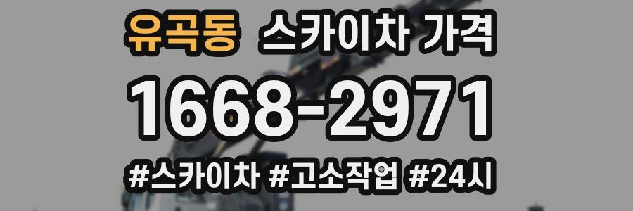 유곡동 스카이차 가격