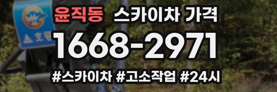 윤직동 스카이차 가격