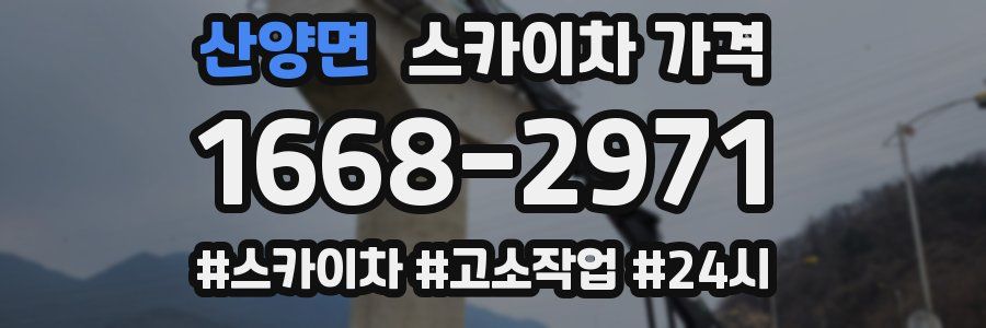 산양면 스카이차 가격