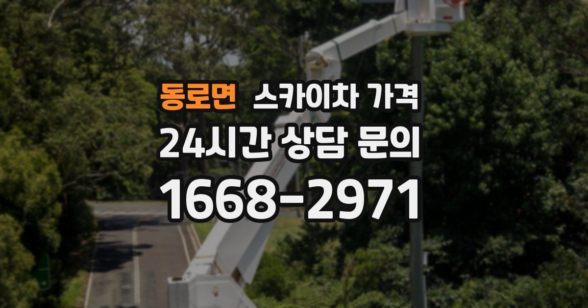 동로면 스카이차 가격