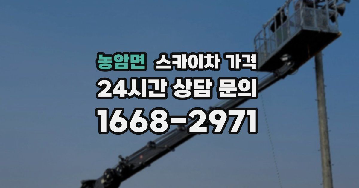 농암면 스카이차 가격