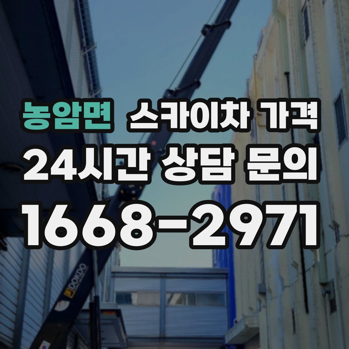 농암면 스카이차 가격